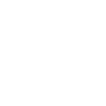 website-icon